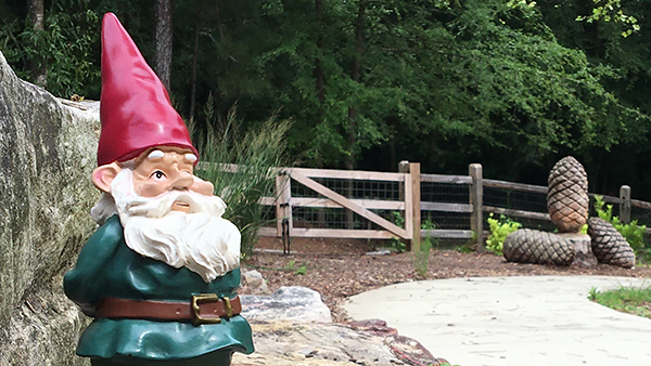 Bring the Gnome Home Video